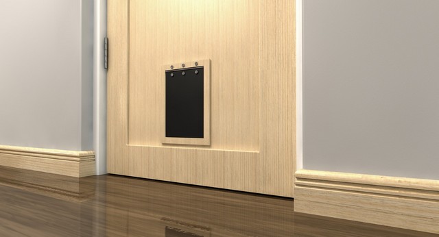 Cat Flap Installation Caterham, Chaldon, Woldingham, CR3
