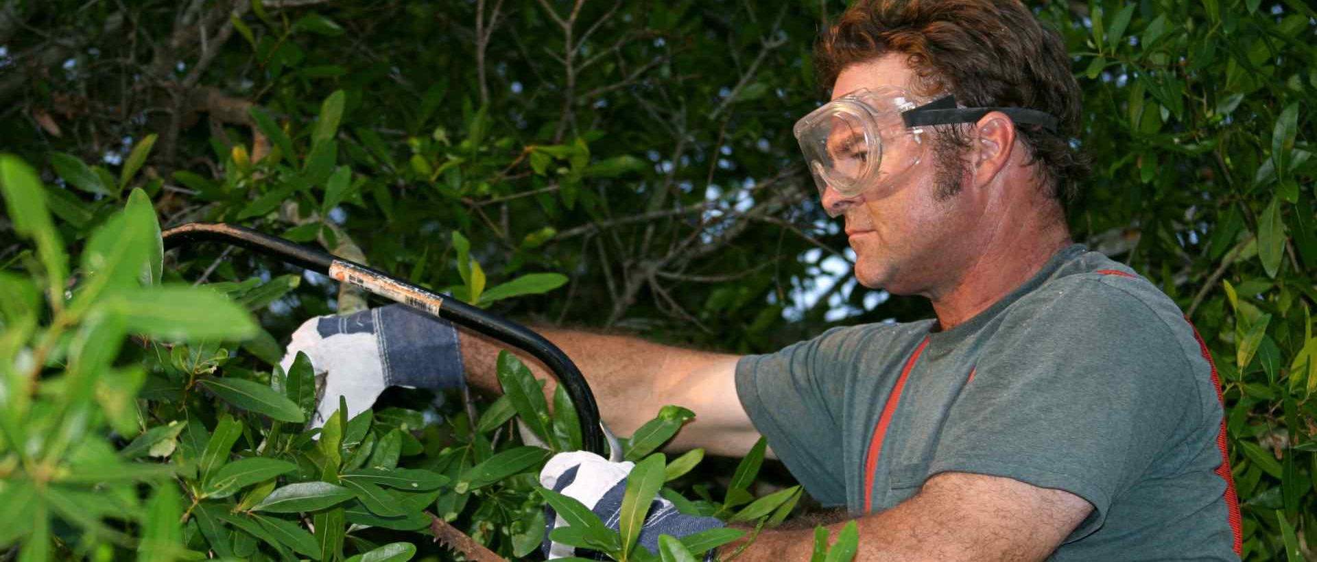 garden clearance CR3