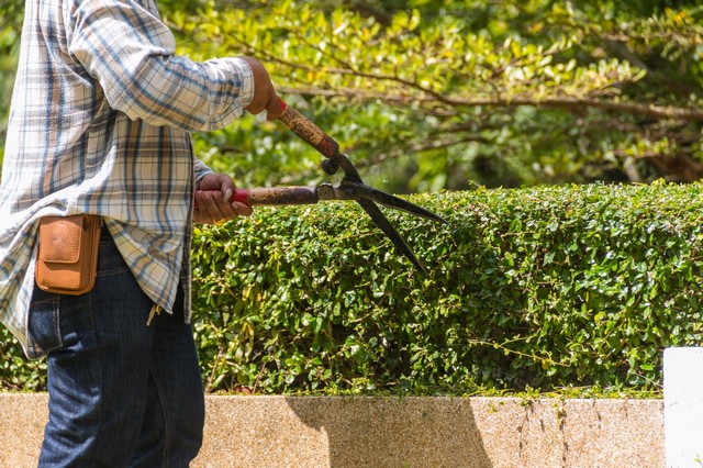 Garden Maintenance Caterham, Chaldon, Woldingham, CR3
