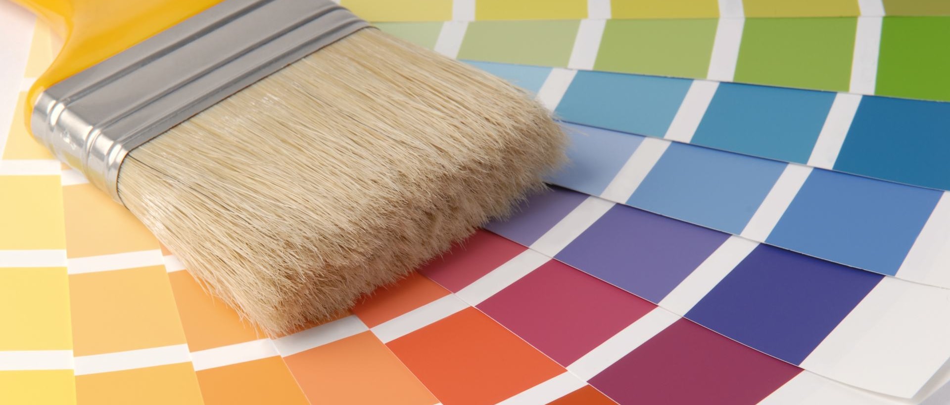 Painter CR3